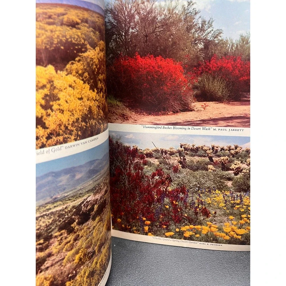 Arizona‎ Highways February 1969 The Flowering Desert